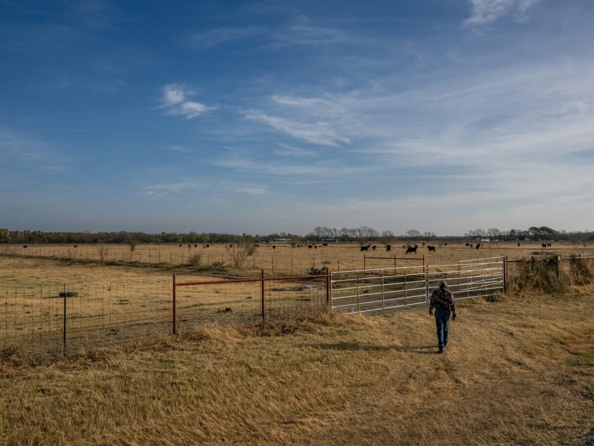 Sixth year of drought in Texas and Oklahoma leaves ranchers facing wildfires and bracing for another tough year